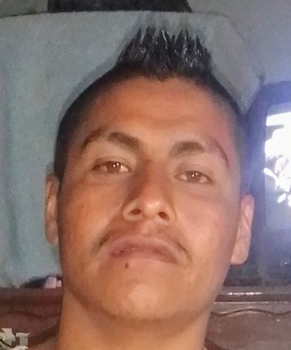 ADOLFO