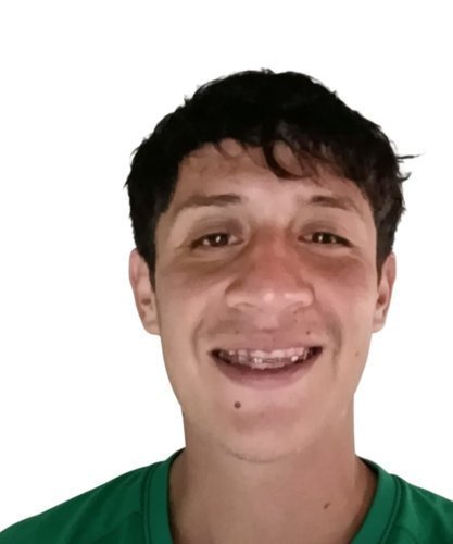 LUIS ALDAIR